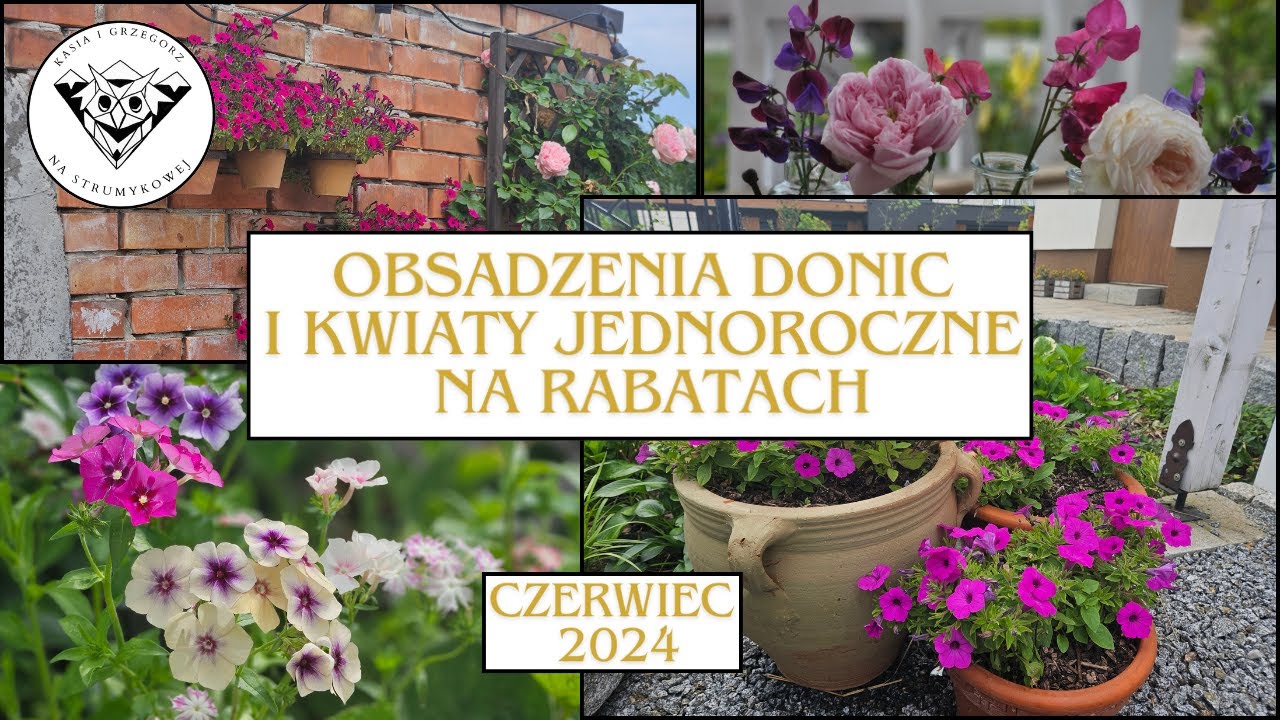 Obsadzenia donic i kwiaty jednoroczne na rabatach