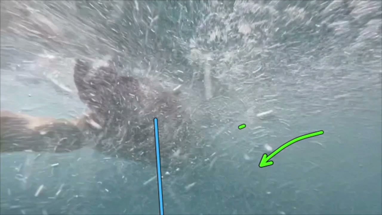 D1 Distance Swimmer Video Analysis