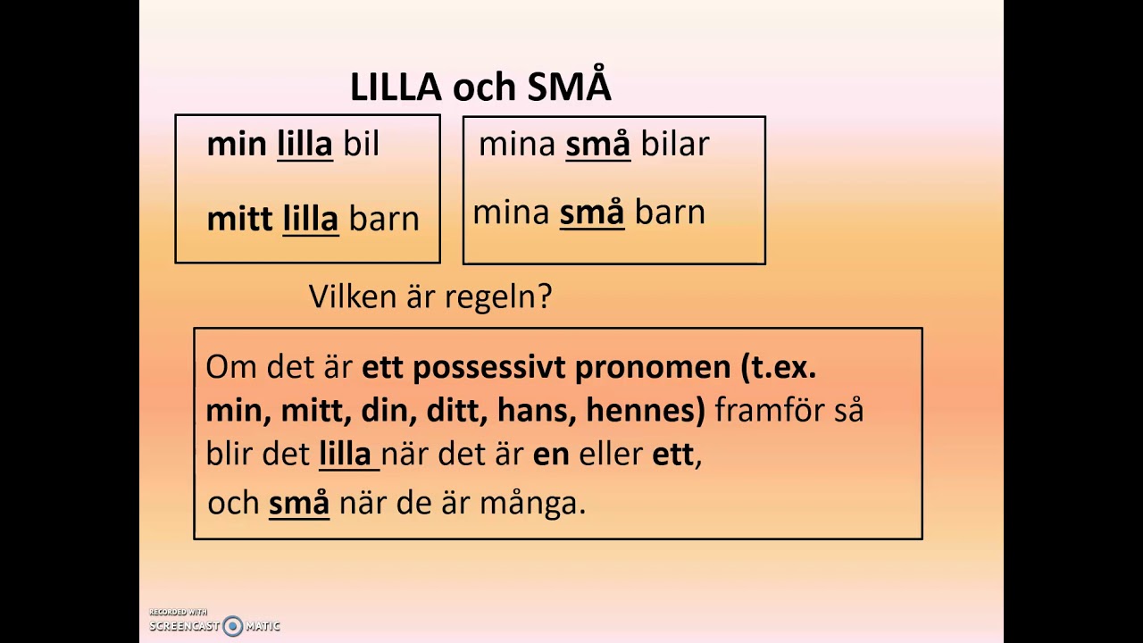 sfigunilla Liten, litet, lilla eller små?