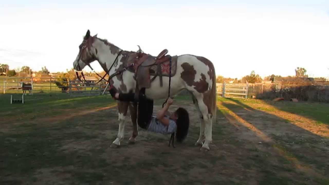 15 Different Ways to Ride Your Horse!