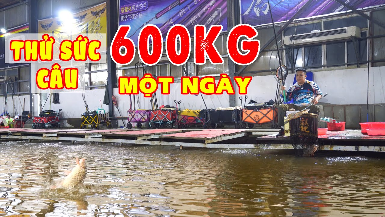Câu cá chép - Thử sức câu 600kg một ngày