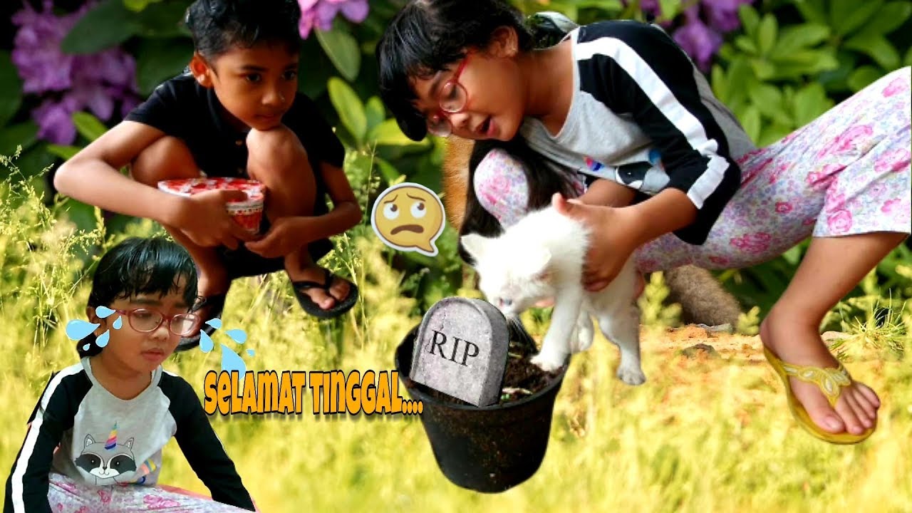 HANUM UCAPKAN SALAM SELAMAT TINGGAL PADA HAMSTER 3 | Shafeea Hanum
