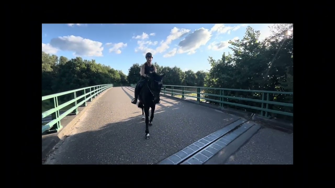 Rambo (Justice x Indoctro x Nimmerdor)