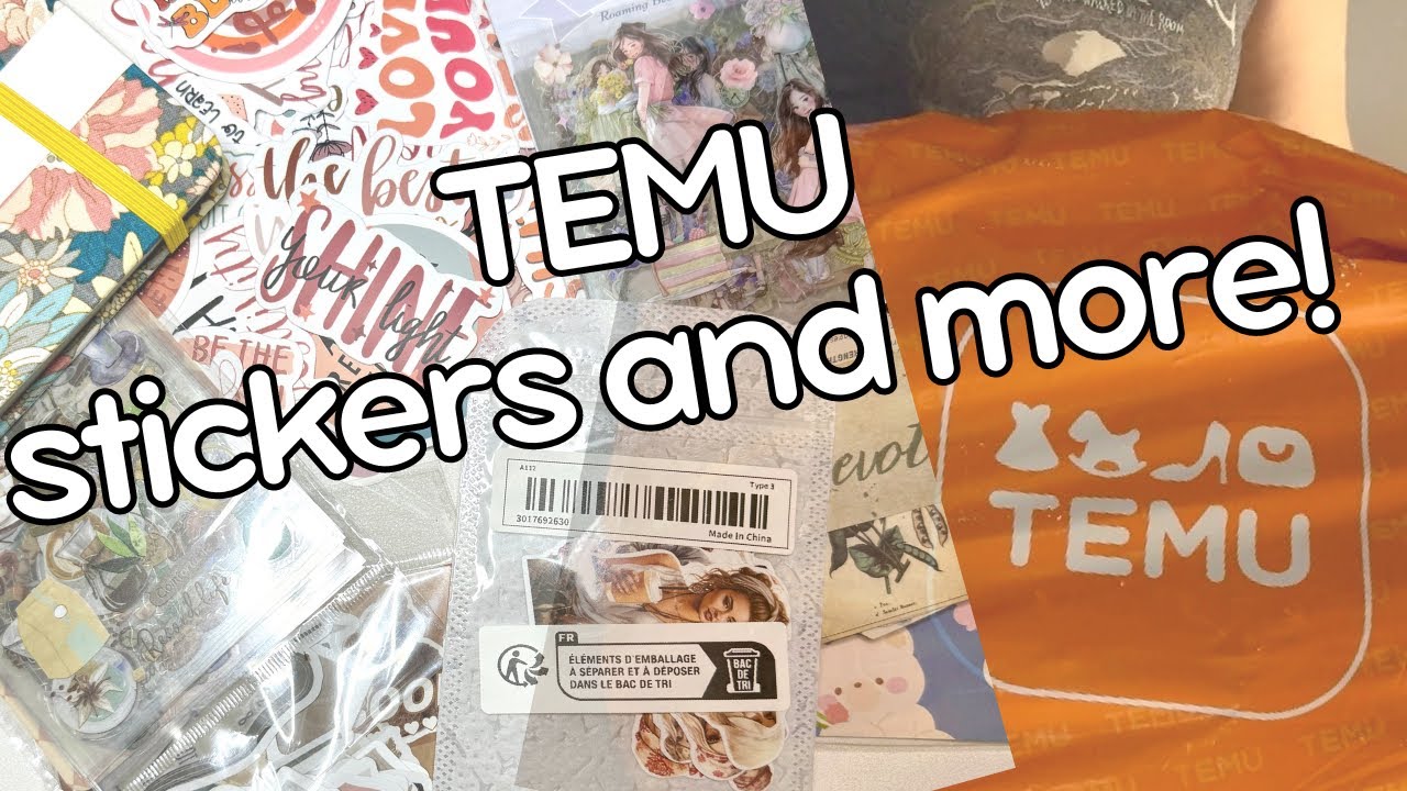 Temu Finds | Stickers and More
