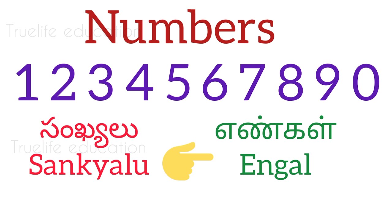 numbers in Telugu and Tamil | learn numbers in Tamil | learn numbers in Telugu | video 1