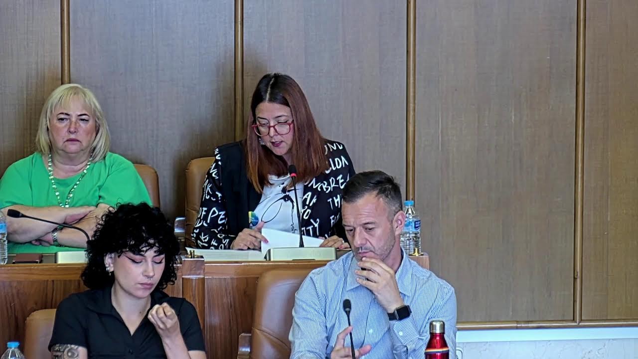 Pleno ordinario del 2 de julio de 2025