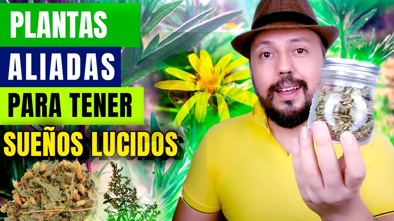sue&ntilde;os lucidos | Tres plantas aliadas para tener sue&ntilde;os l&uacute;cidos