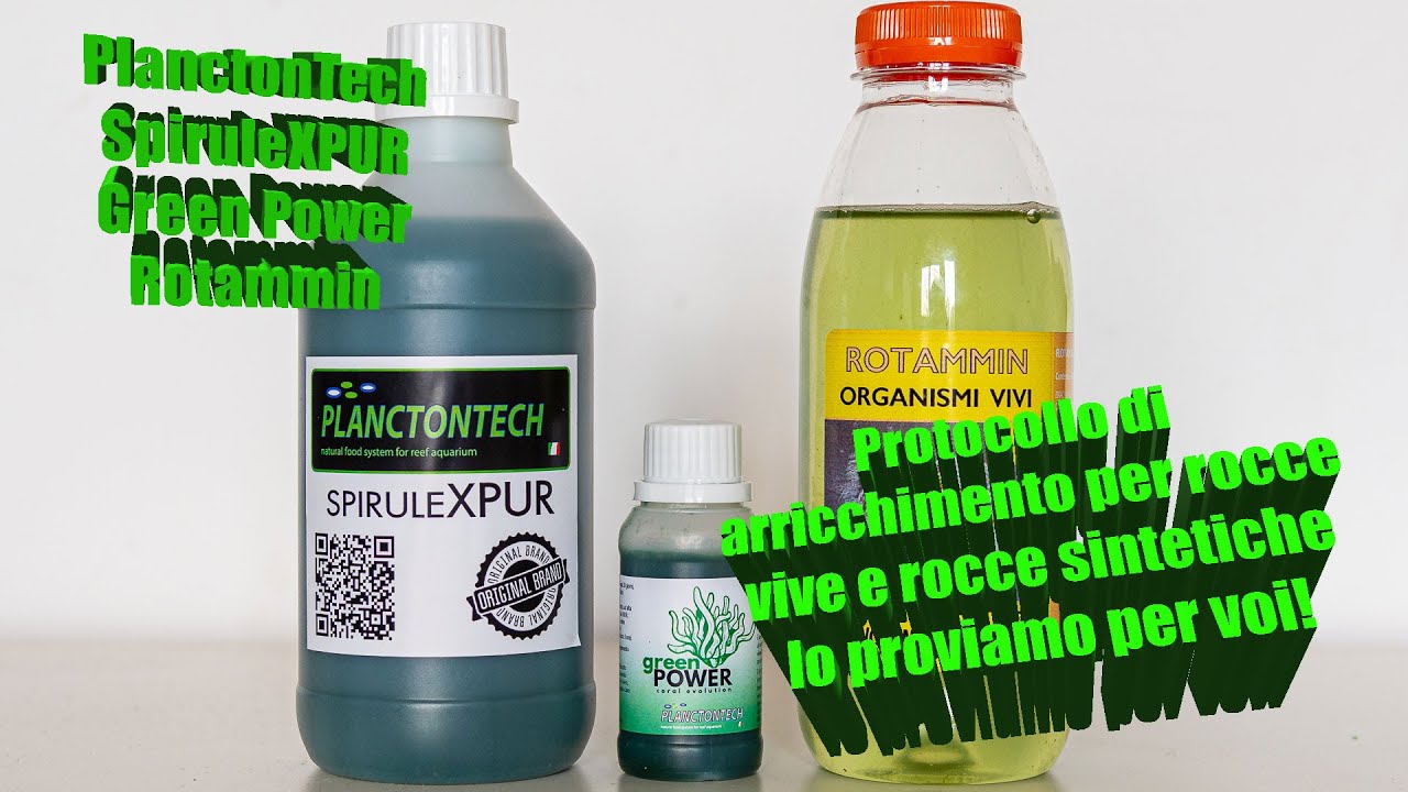 Protocollo di arricchimento per rocce vive e sintetiche tramite SpirulexPur Green Power Rotammin