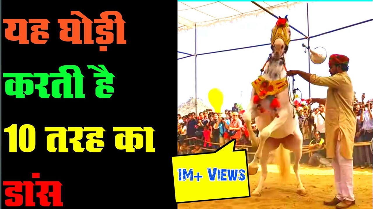 Horse Dance in Rajasthan fair | Ghodi ka dance | राजस्थानी घोड़ी का डांस 2022