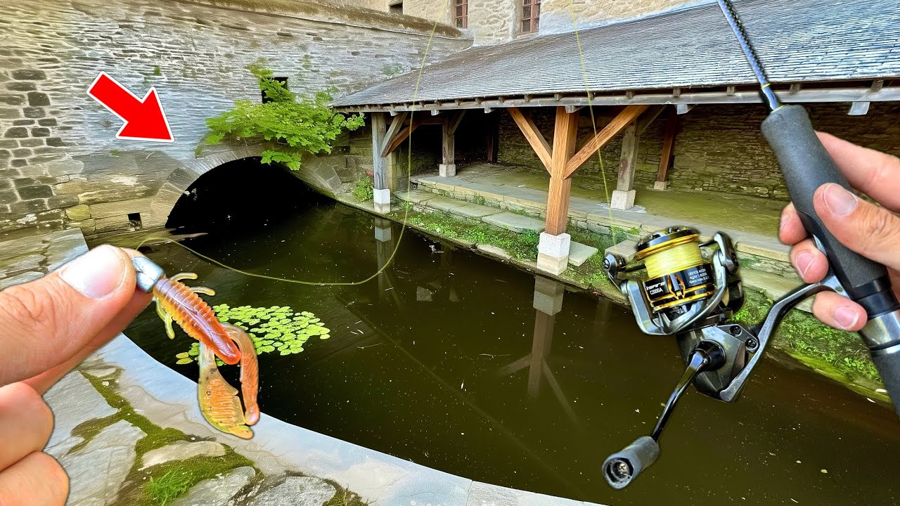 Je ne m'attendais pas a ce qu'il y ait ça dans un lavoir...