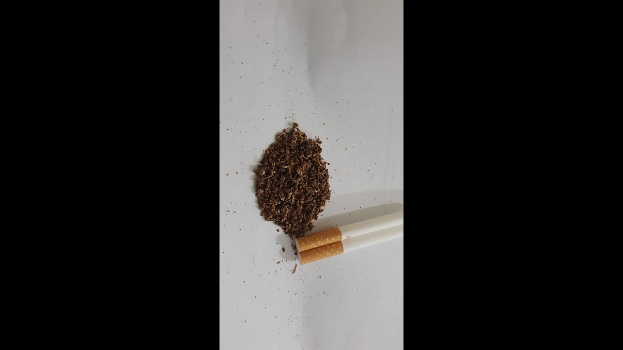 How to roll hash into a cigarette
