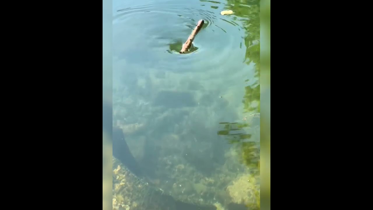 😲 ചുഴി