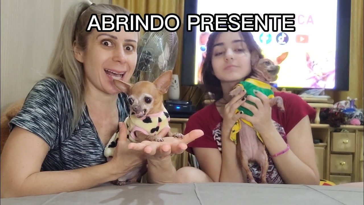 PINSCHER ABRINDO PRESENTE juju e pituca