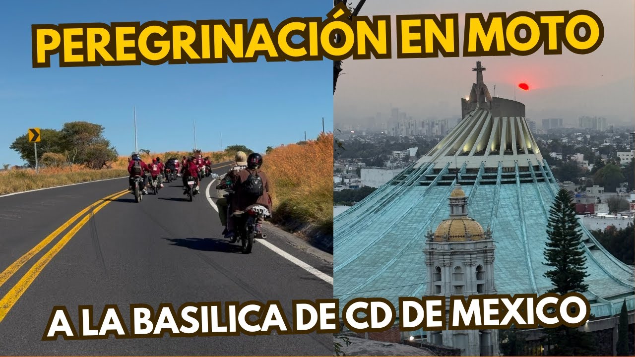vamos en peregrinación a la basílica de la virgen de Guadalupe