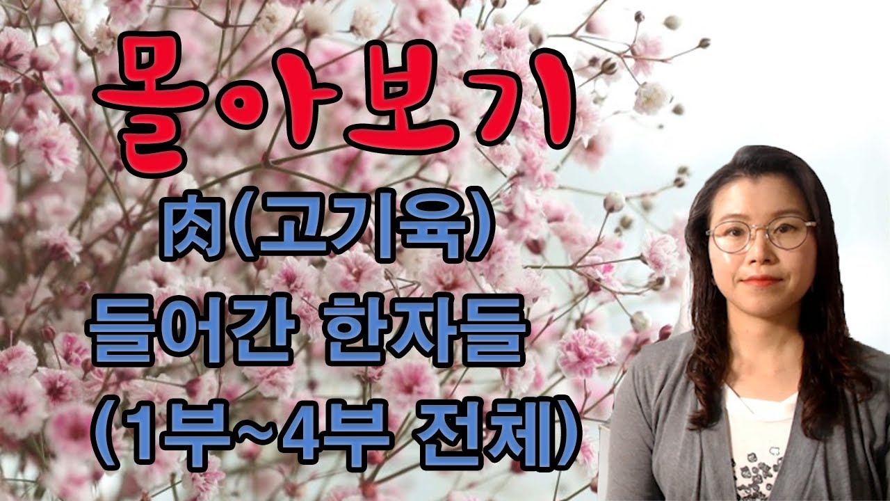 (몰아보기)-肉육달월 들어간 한자들 1부~4부 전체