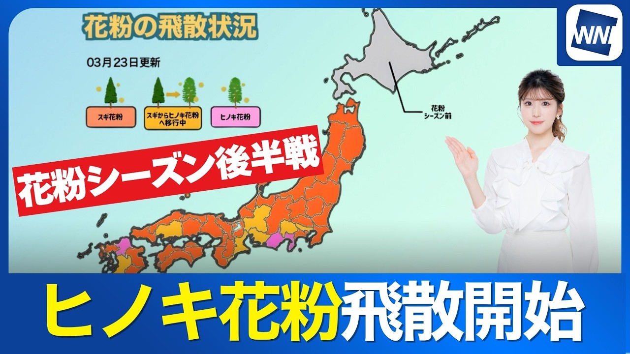 【花粉情報】西日本〜東日本ではヒノキ花粉が飛散開始