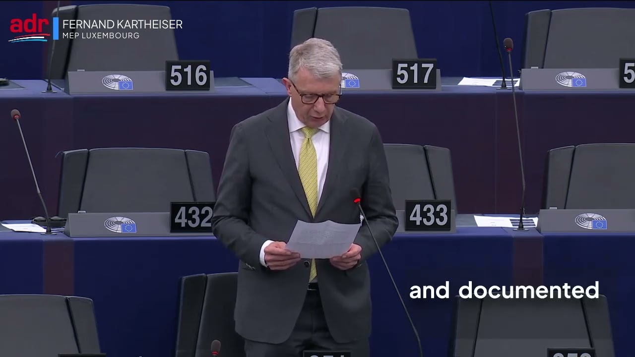 Review of the Digital Services Act: Key Questions for the Commission