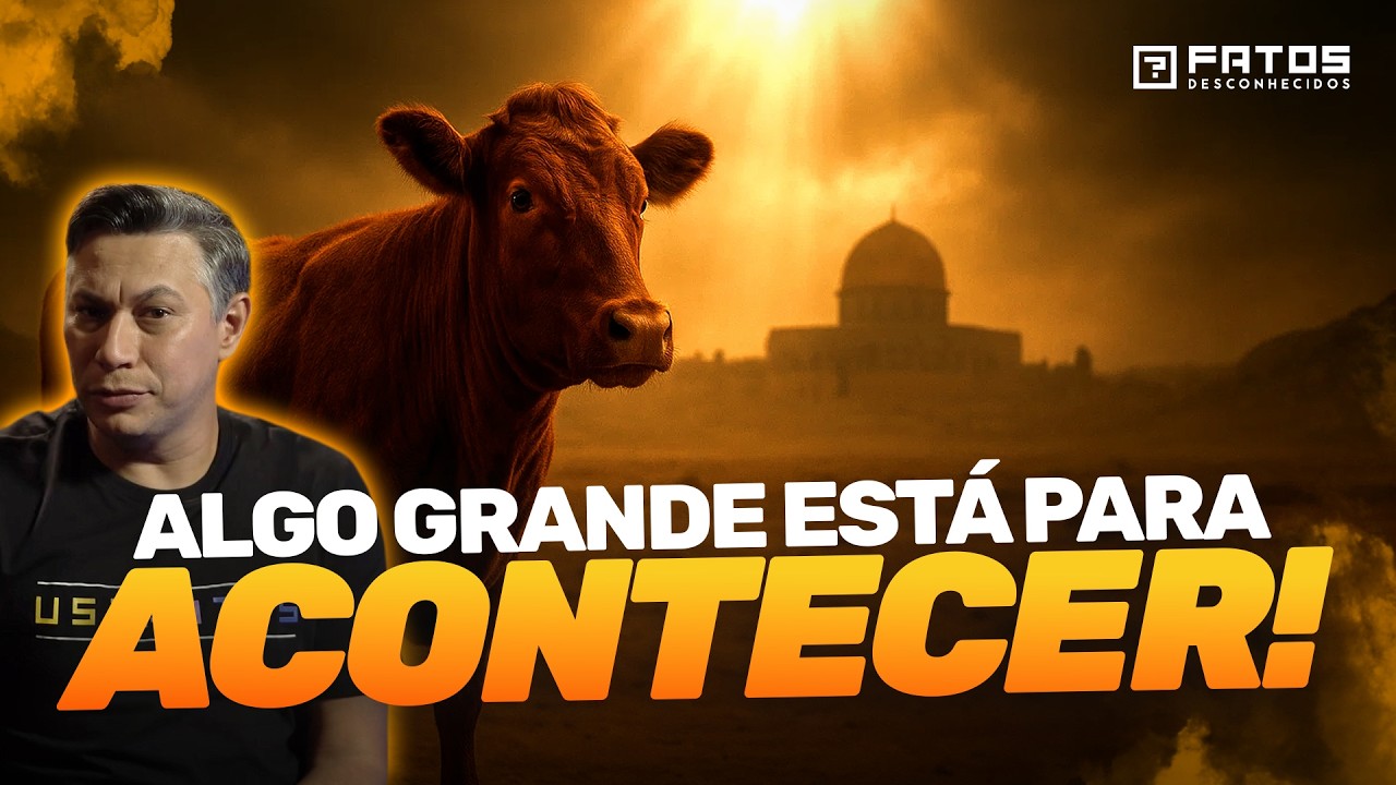 URGENTE: Novilha Vermelha Aprovada! Terceiro Templo Está Mais Perto do Que Nunca!