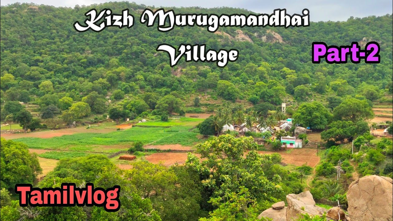 Exploring Village in Amirthi Forest |   Riding pulsar 150 in deep forest | #offroading #tamilvlog