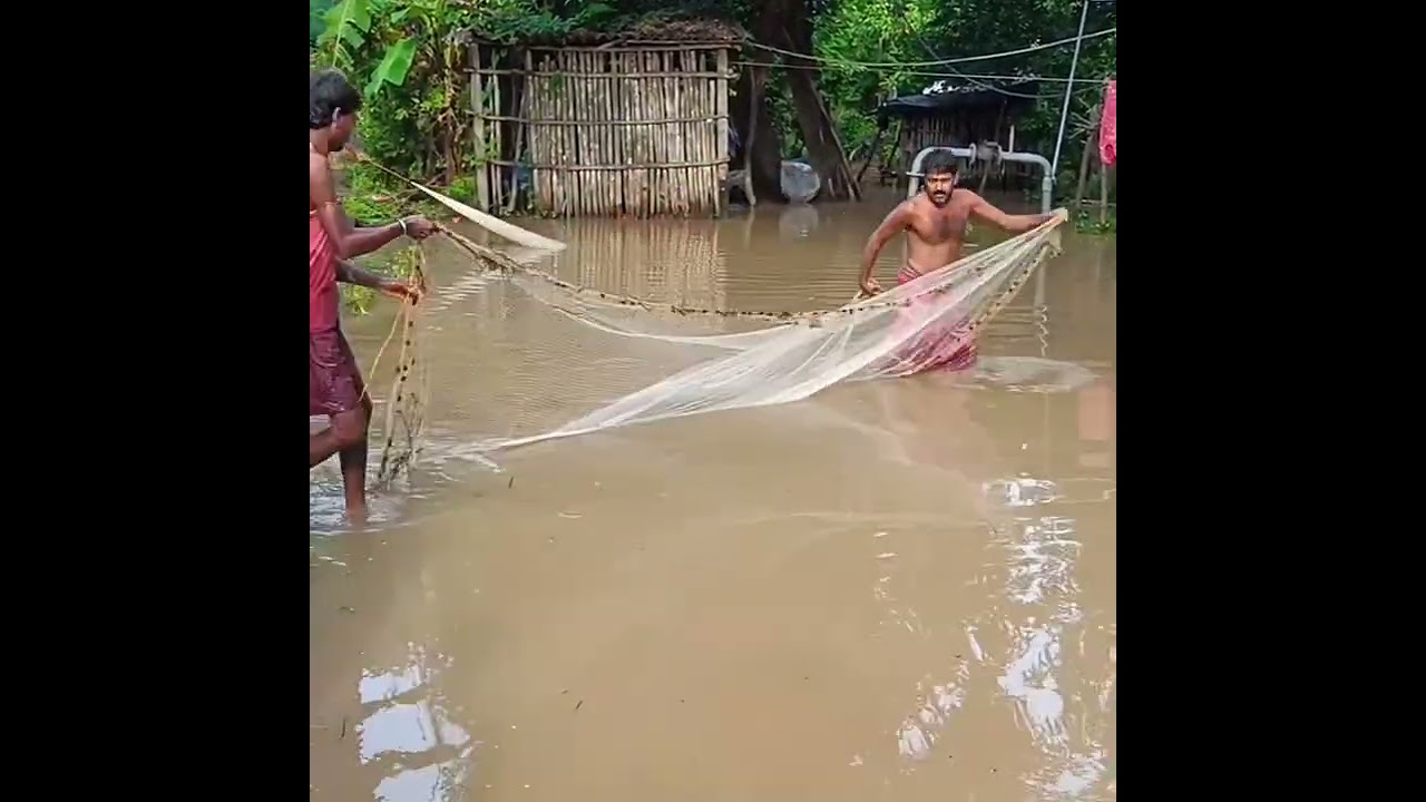 #@*& মুরুব্বীদের গ্রুপিং মাছ ধরার চমৎকার দৃশ্য
