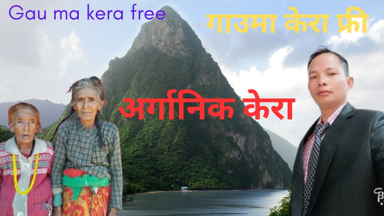 Banana केरा फ्रि गाउमा#arganik banana#