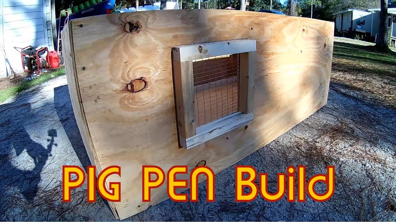 Building a pig pen for mini pig