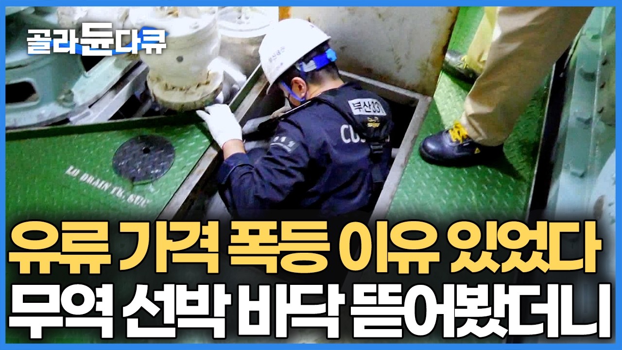 무역 선박 기름 탱크 불법 개조 창고 들켰다, 면세유 밀수 선박 현장 급습했더니 상상 초월 기름 빼돌리기 수법｜극한직업｜#골라듄다큐