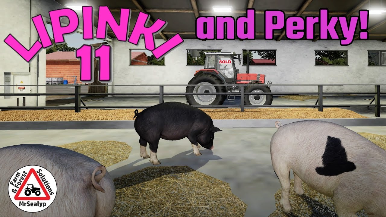 LIPINKI и Perky! #11, Farming Simulator 19, PS4, Давайте поиграем. zielak04.