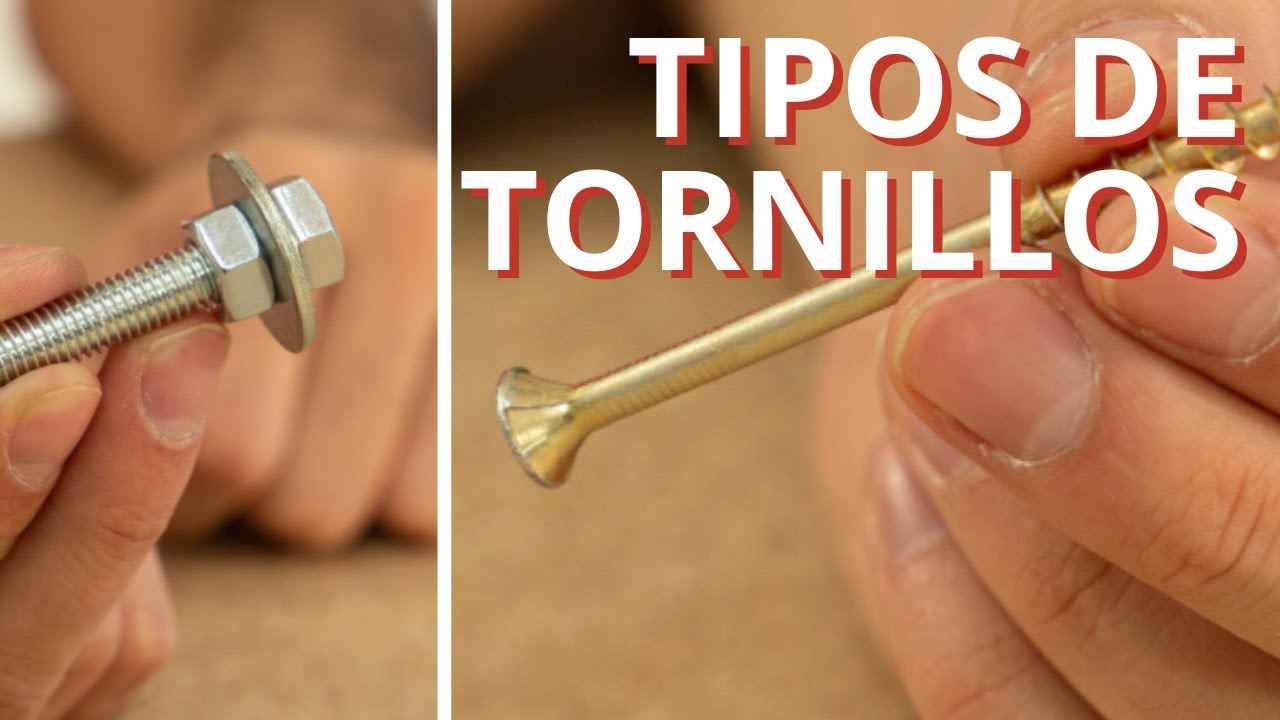 Tipos de tornillos: caracter&iacute;sticas y usos | Cadena 88