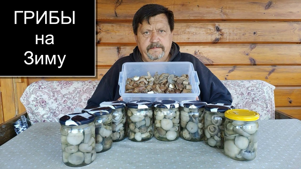 ГРИБЫ СЫРОЕЖКИ И КУРОЧКИ // Как закатать самые вкусные грибы на зиму ? Рецепт