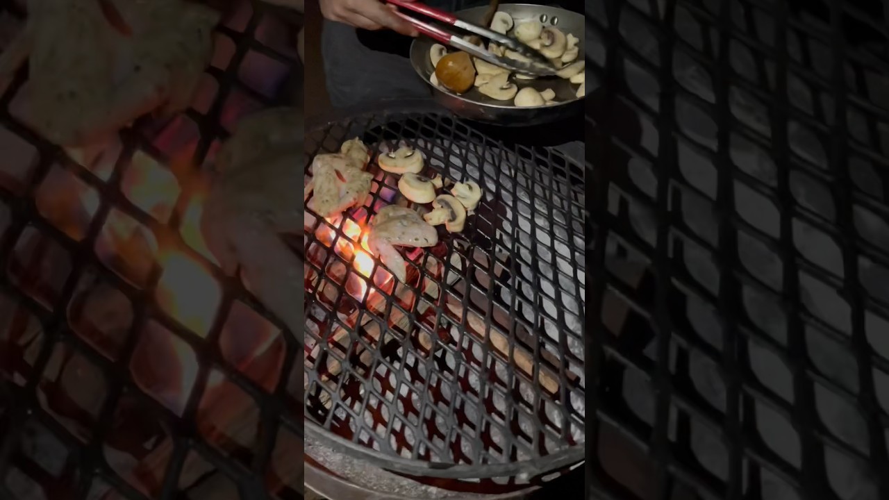 African wild animal ate our food at night | 