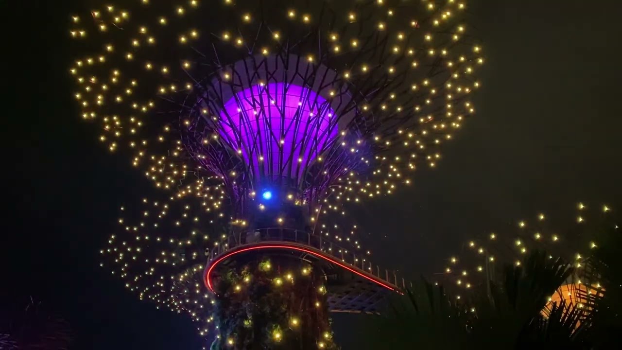 Supertree Observatory light show