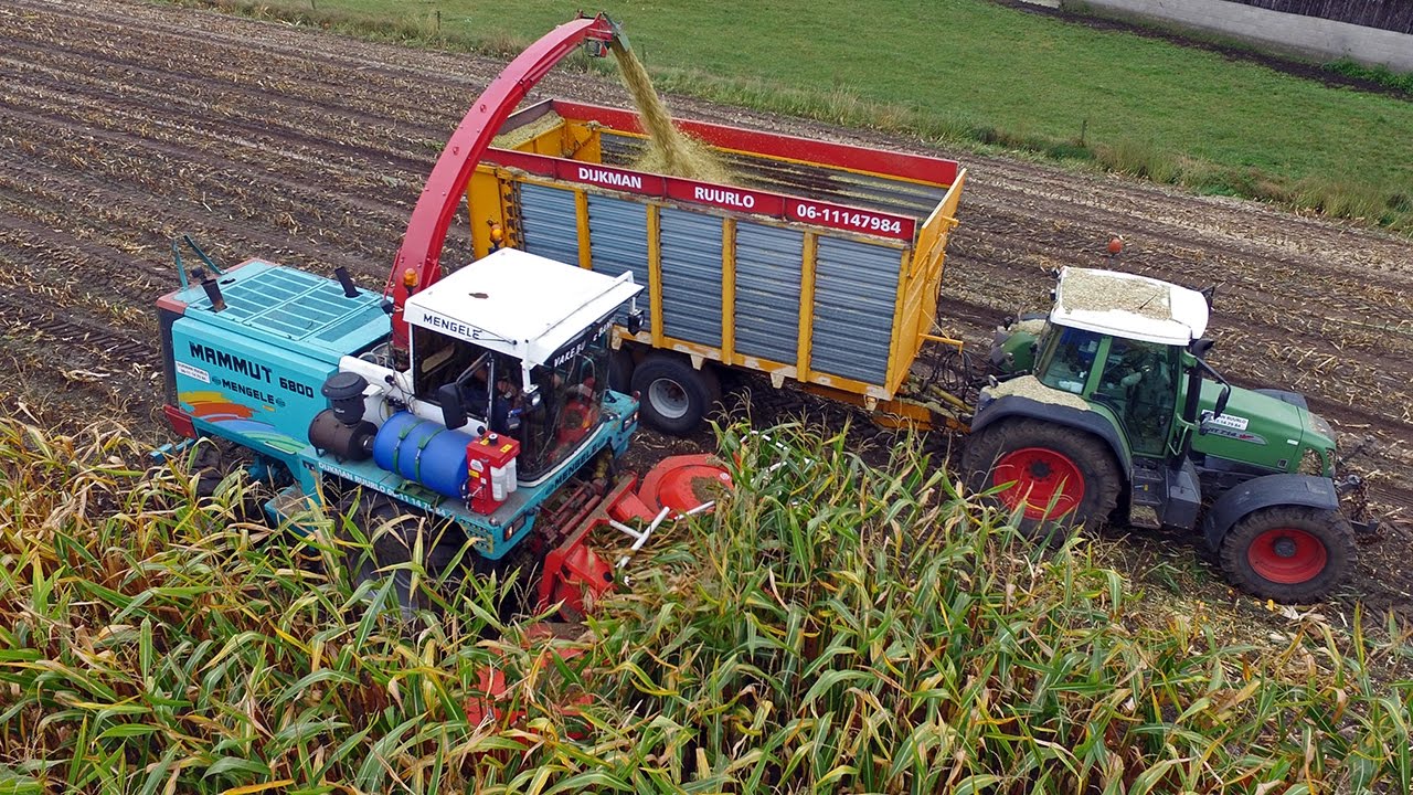 The Mighty Mammut | Maize harvest 2016 | Mengele Mammut 6800 & friends
