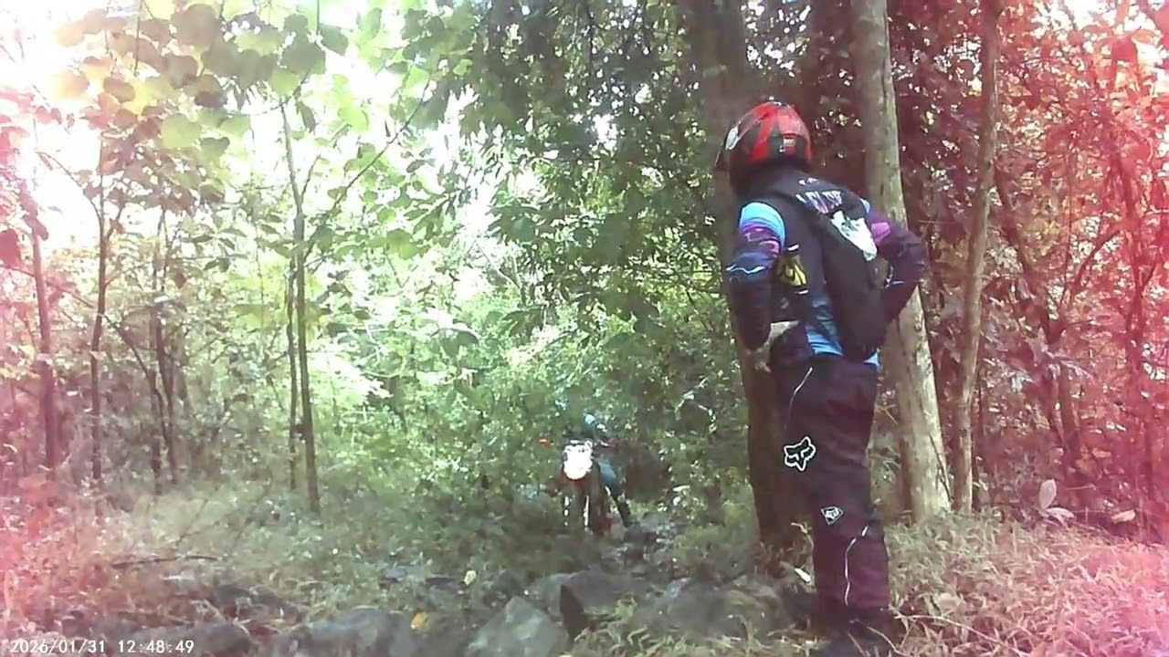 tabucol3
