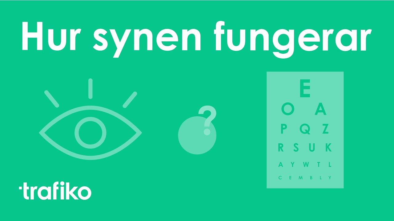 Synen: Direktseende, Periferiseende & synnedsättning (Körkortsteori)
