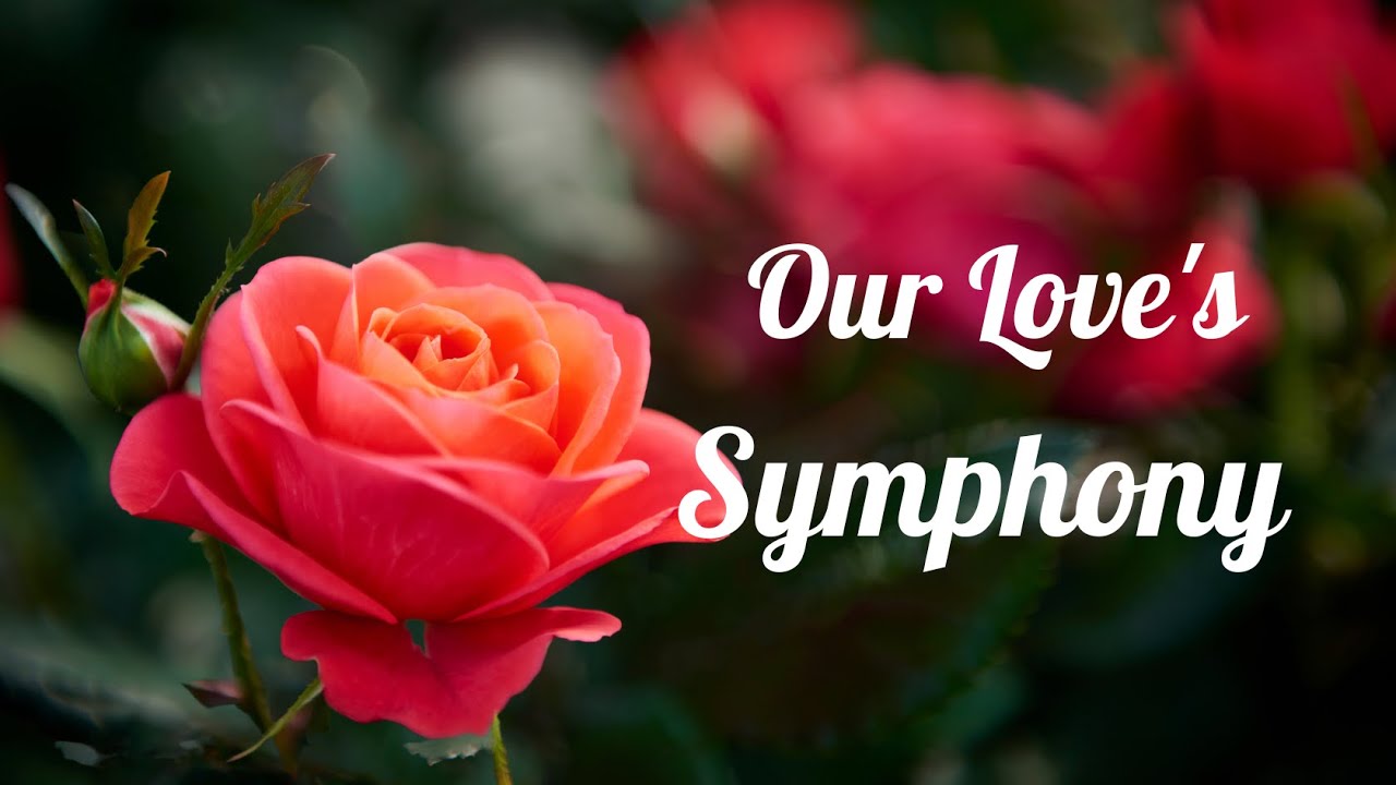 💕 Our Love's Symphony 💕 Love Is a Gift From Heaven 💕 Love Poems 💕