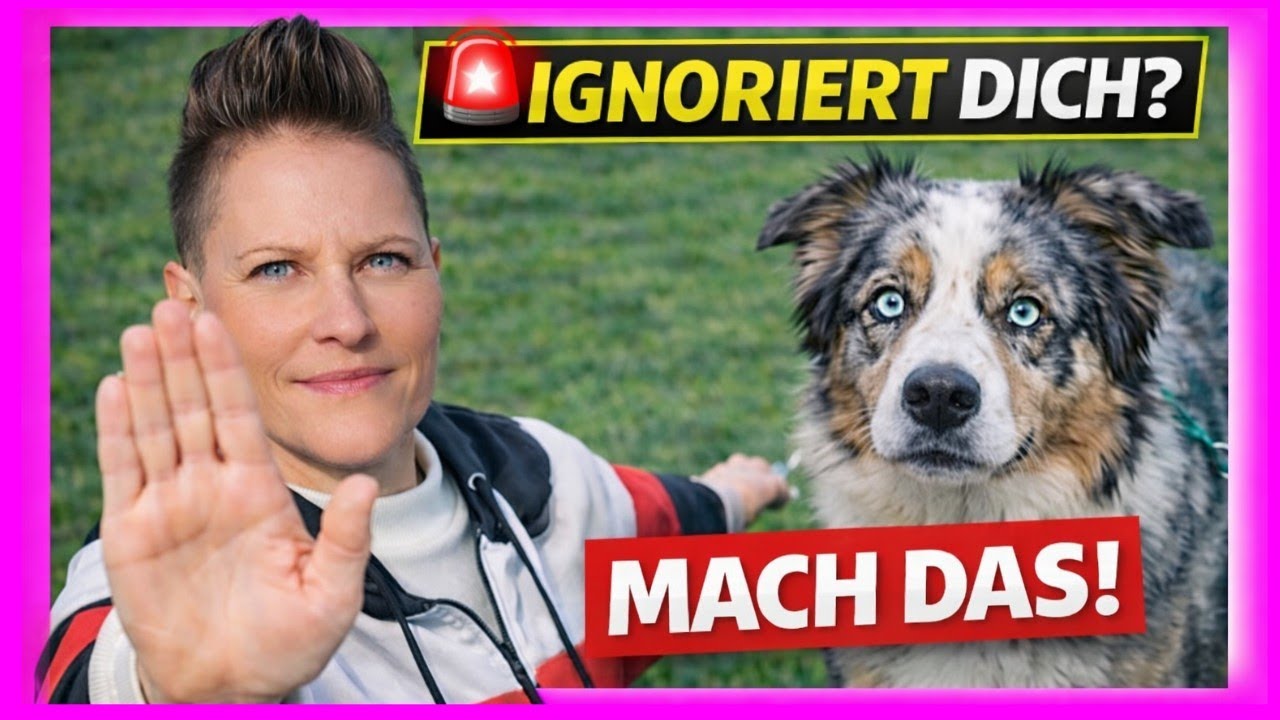 🚨 MACH DAS SOFORT, wenn dein Hund draußen nicht hört