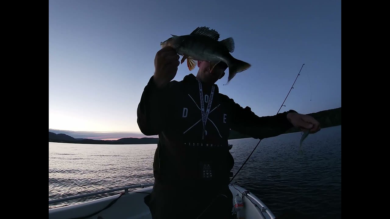 Kveldstur etter Abbor, Hurdalsjøen