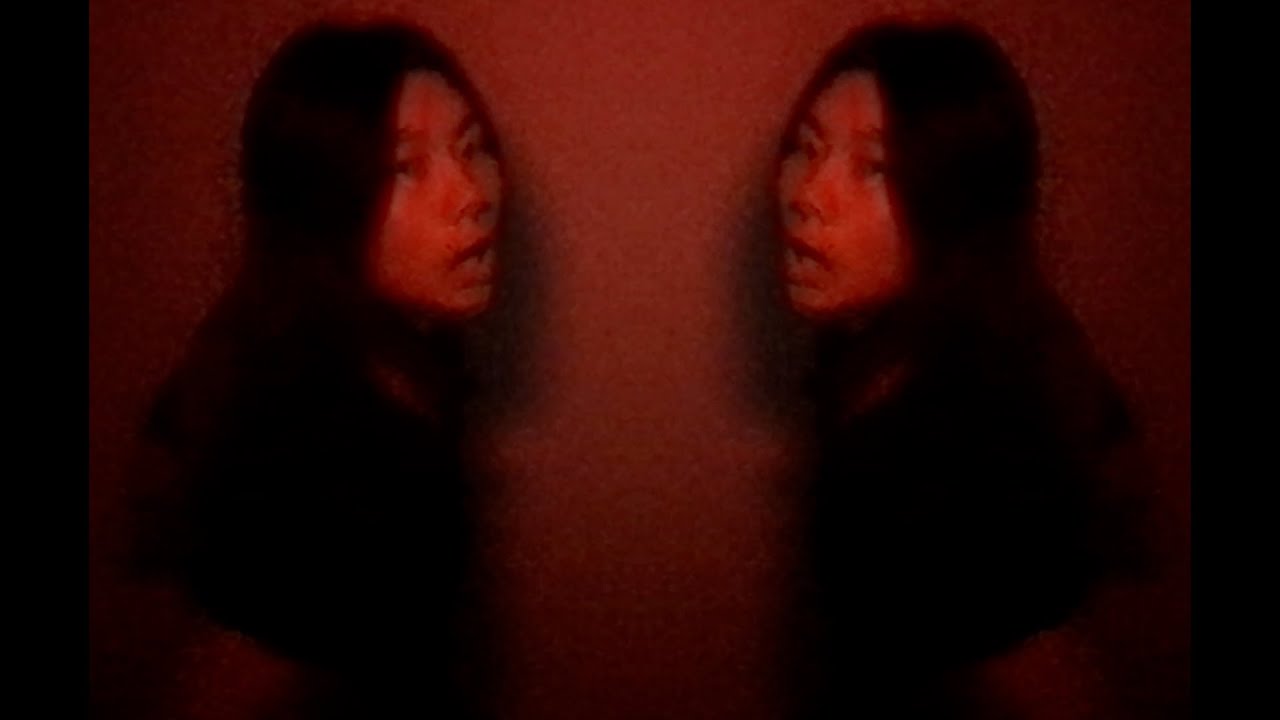 scaleees - fan (music video)