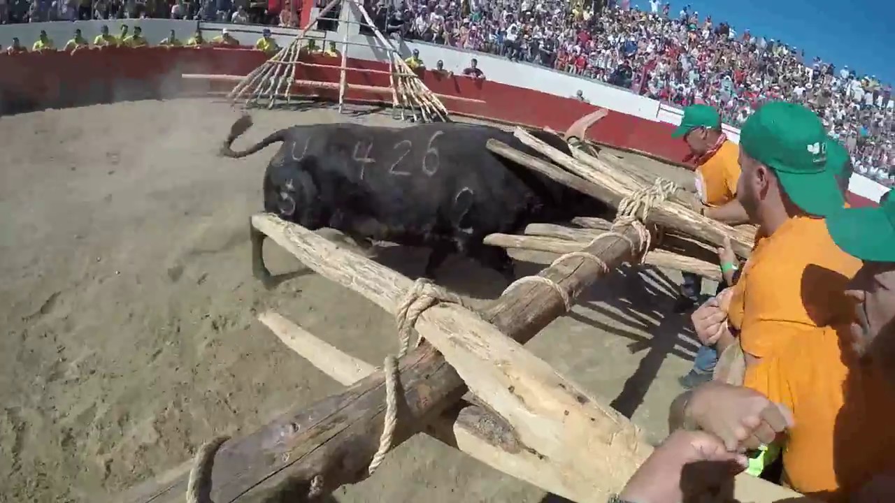 OZENDO 2017 CAPEIA GOPRO AO FORCAO RAPAZES