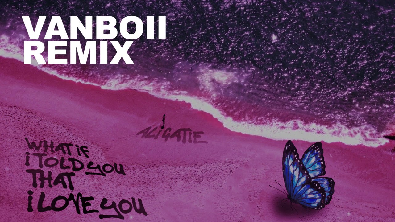 Ali Gatie - What If I Told You That I Love You (Vanboii Remix)