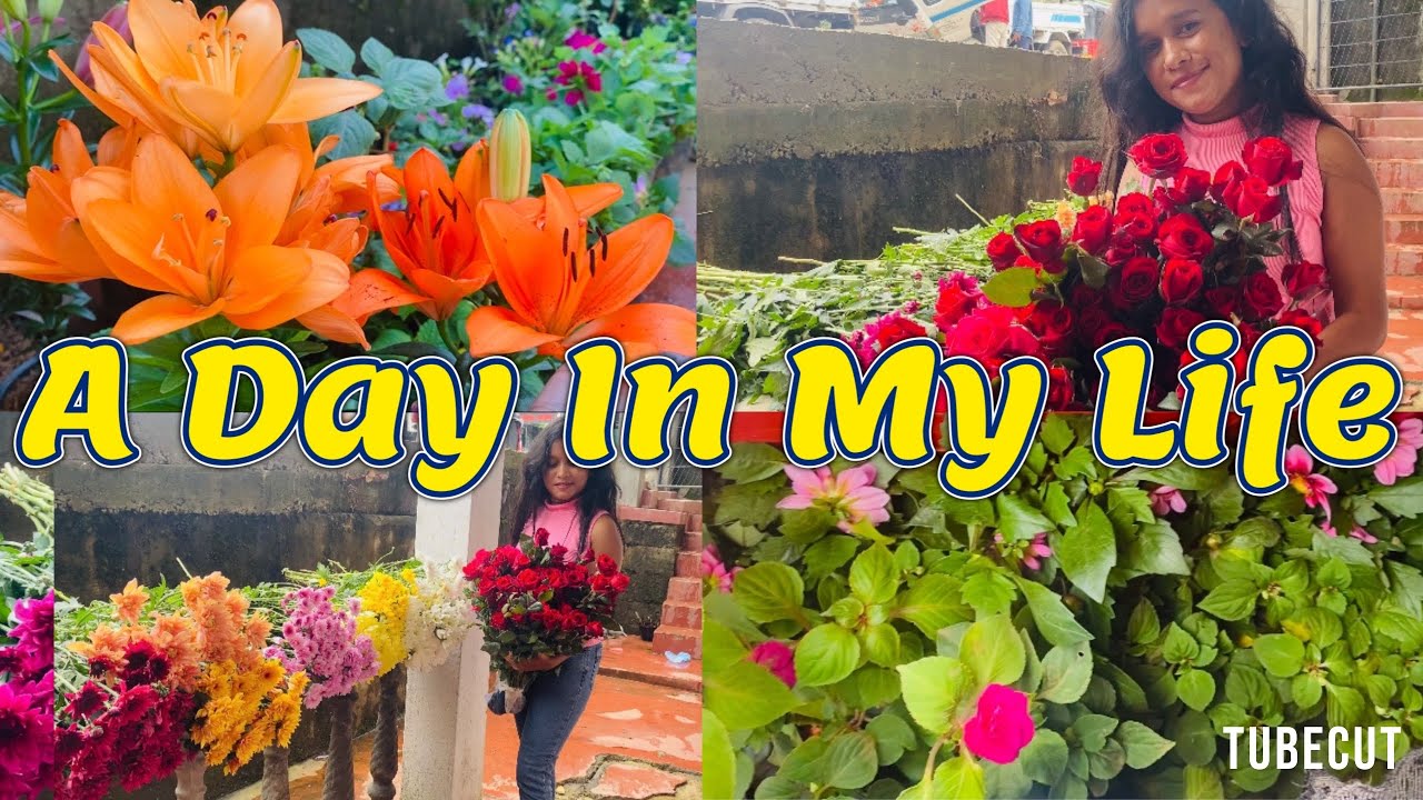 මල් Order එකක අසරනම උන මොහොතක් එත් කොහොම හරි ජය ගත්තා 🪷. මේ මල් පැල ගෙදරටම ගෙන්න ගන්න පුලුවන්🪴