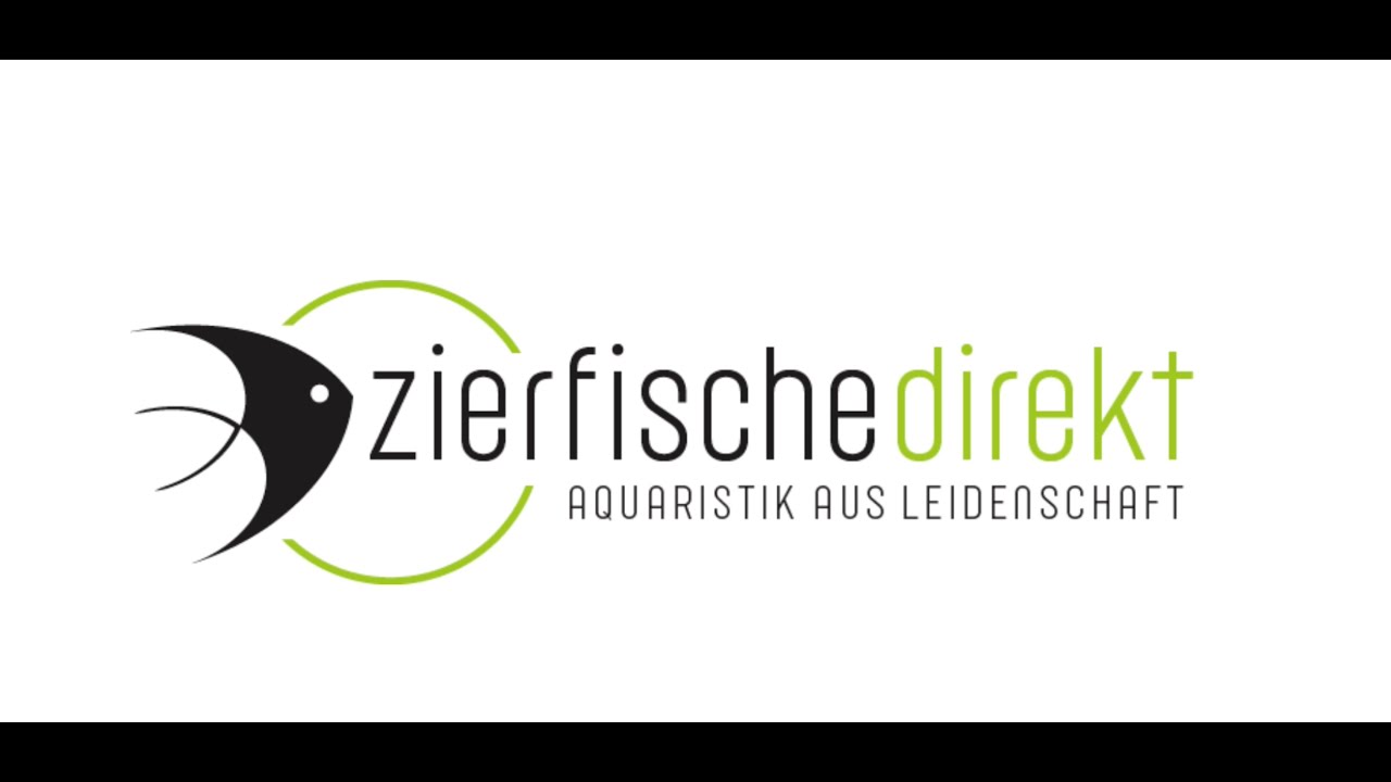zierfische-direkt Fische online bestellen