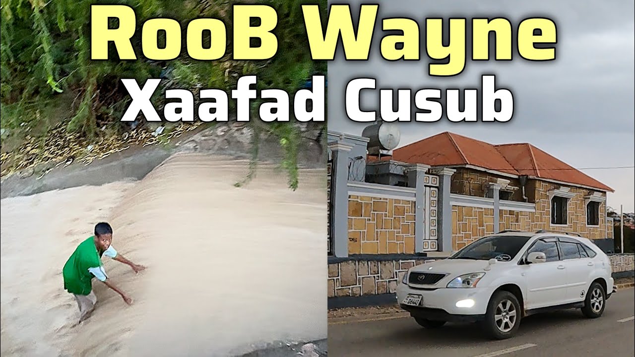 RooB Wayn Новый район Харгейса Влог