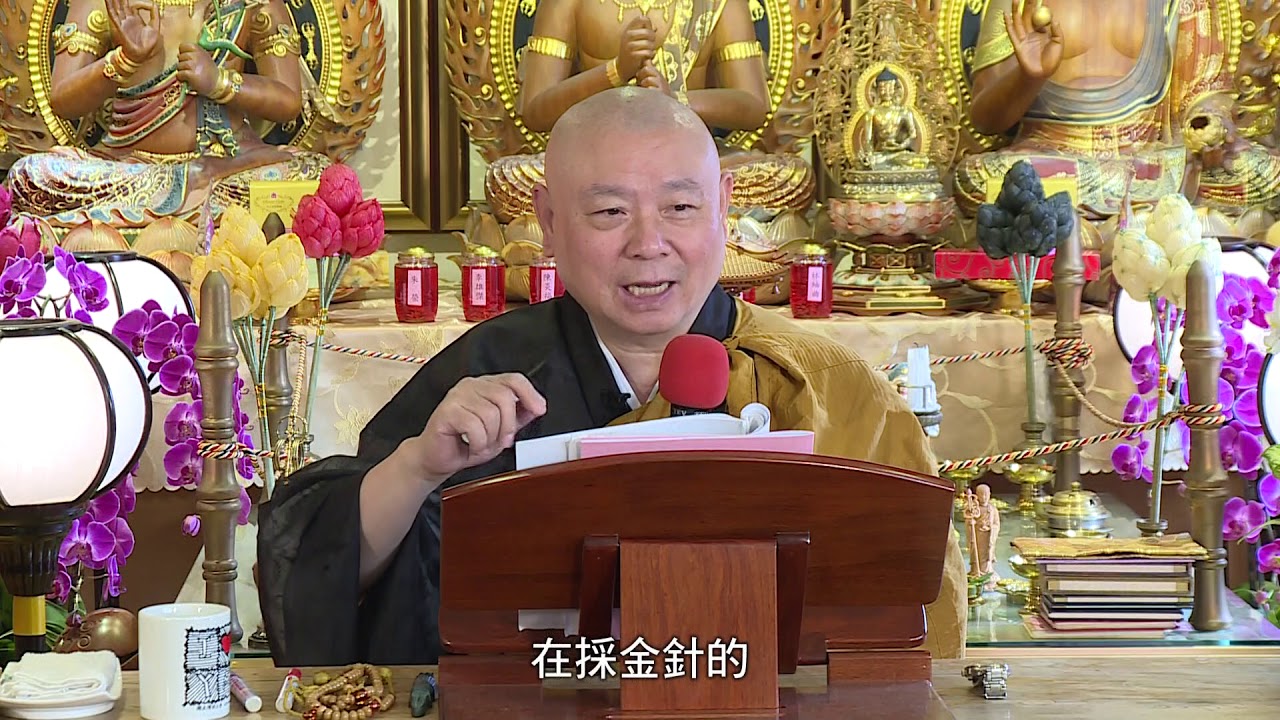 《略述金剛頂瑜伽分別聖位修證法門講記》27/34