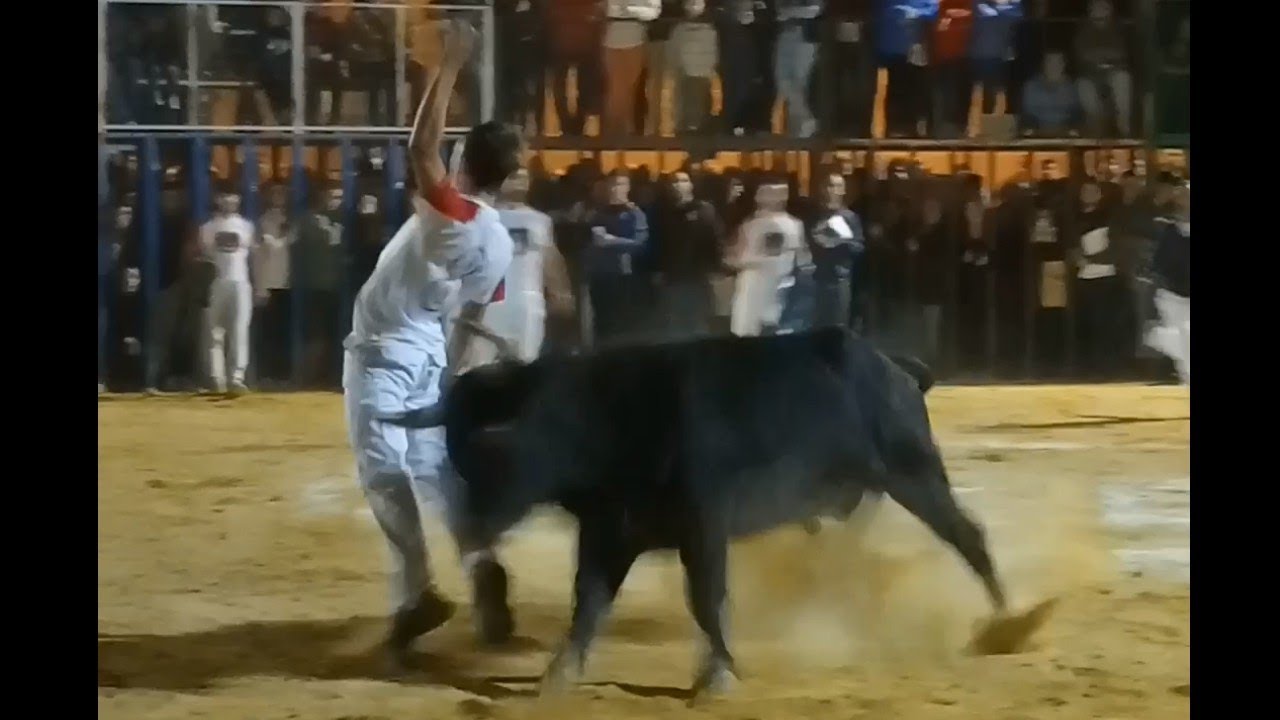 MOSQUERUELA (01/09/2023) Concurso de recortes Feria 2023