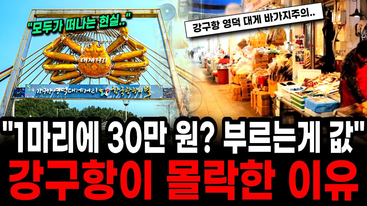 눈탱이 맞고 싶으면 가세요 1마리에 30만 원 영덕대게로 유명한 강구항의 몰락