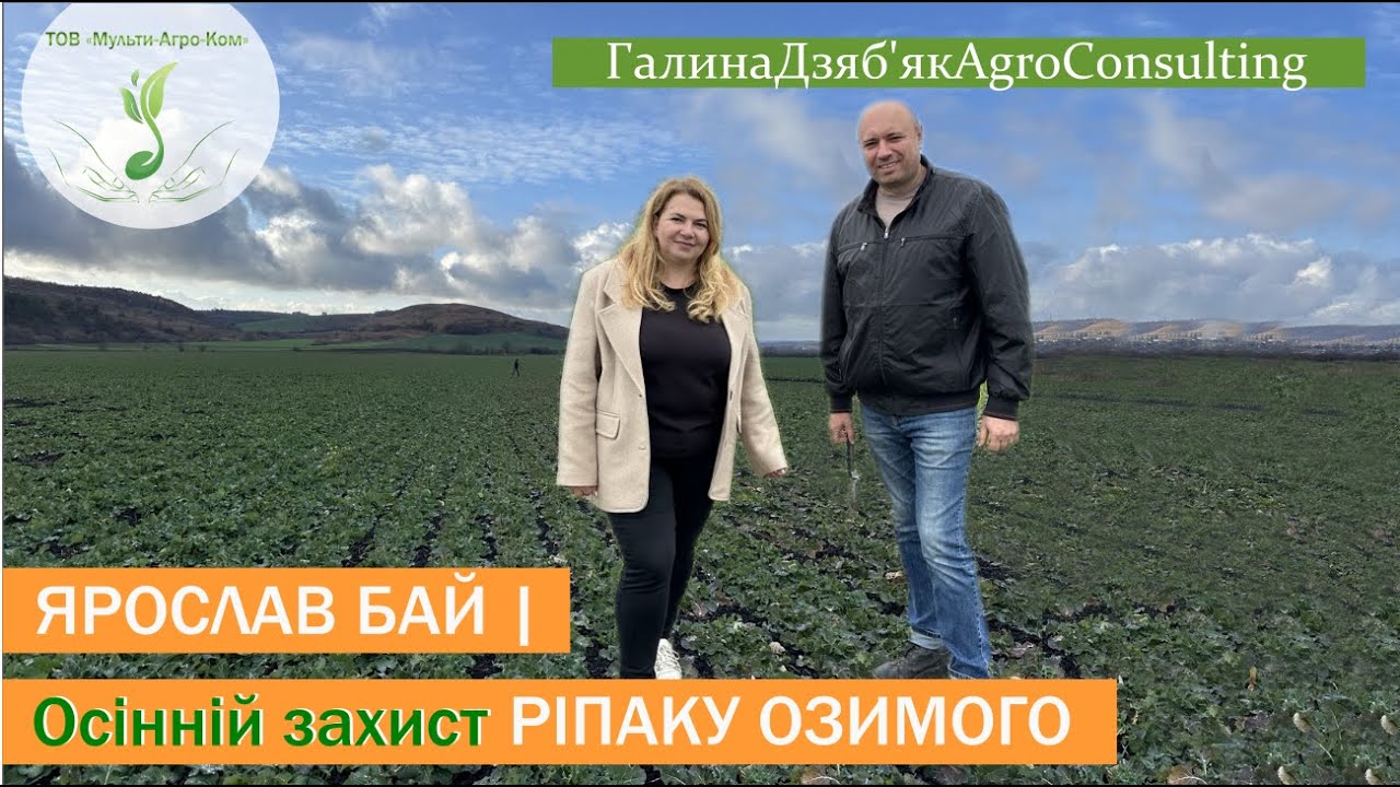 Обстеження ранніх посівів, регулятори та їх норми, контроль волошки, гірчаків, осотів, МІЛЬ