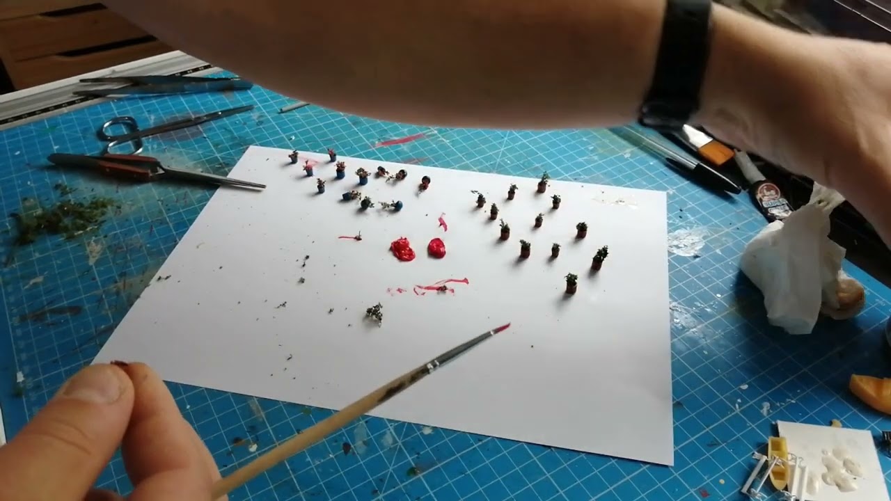 Des Pots de Géraniums