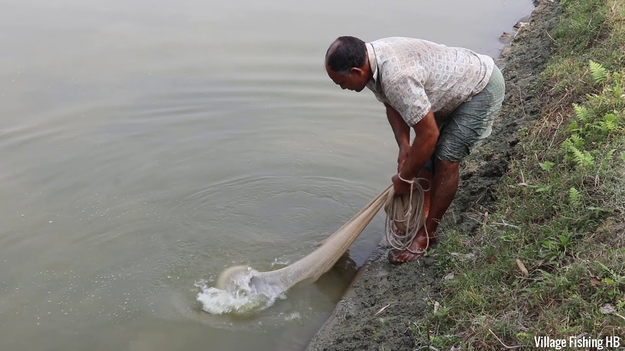 Best Net Fishing | Big Fish Hunting By Cast Net | Net Fishing in The Village (Part-52)